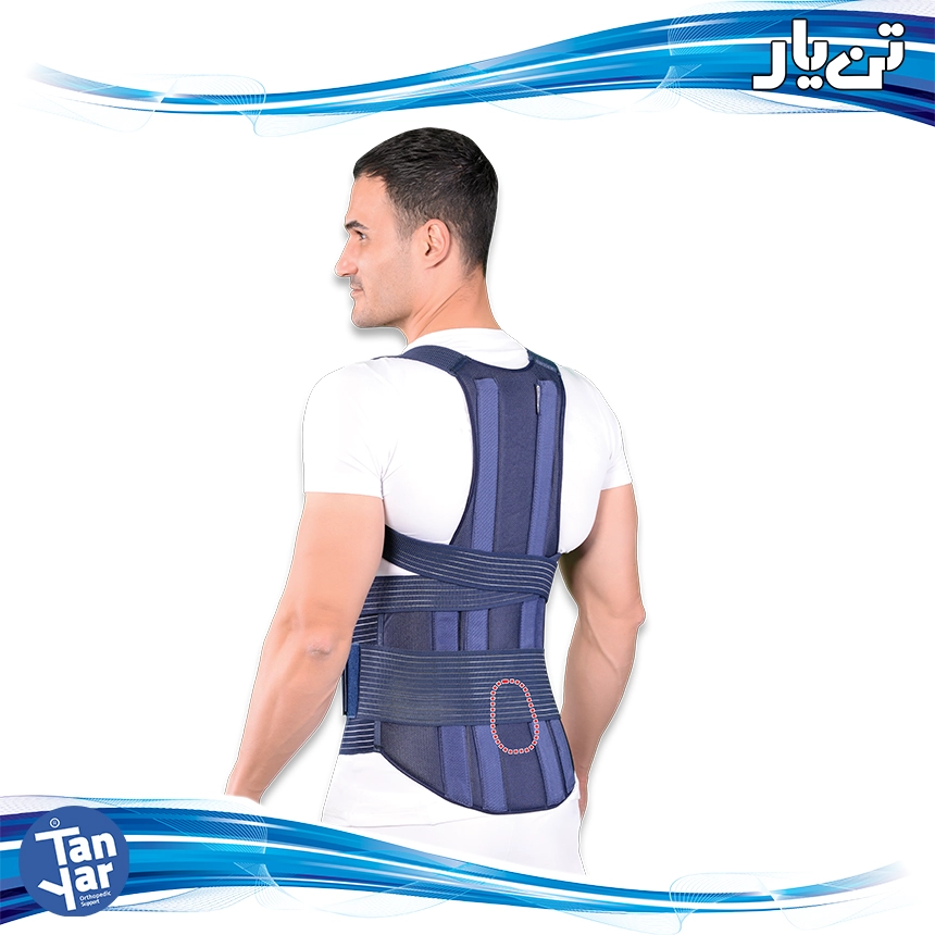 قوزبند کمربند پد دار صادراتی (TLSO)